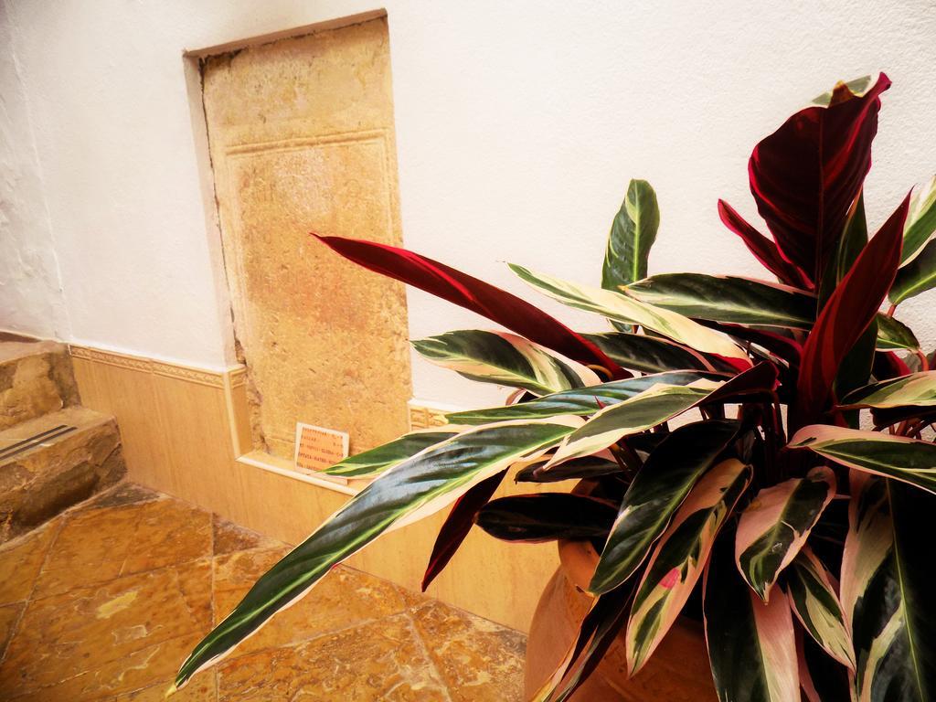 Bed and breakfast Casa Campana 3*