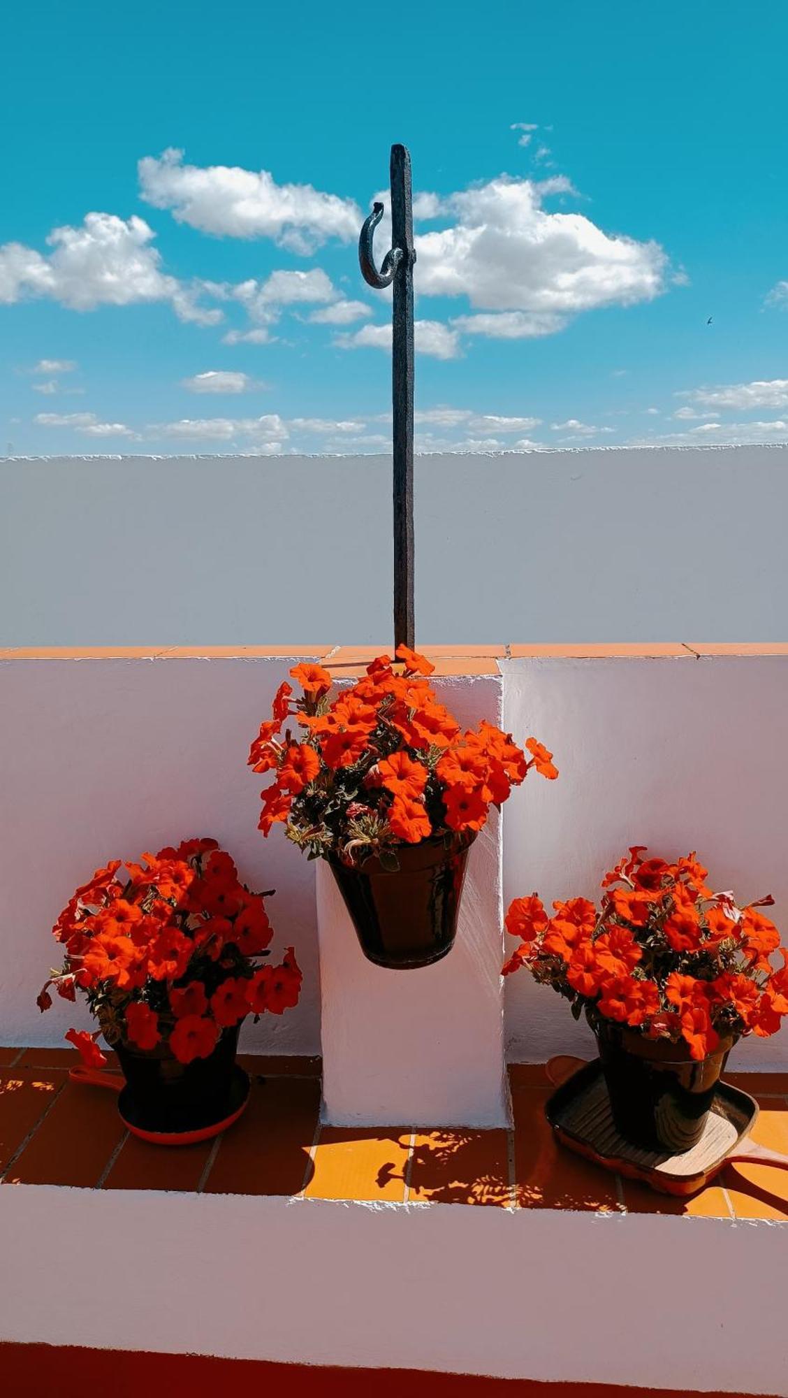 Casa Campana Bed & Breakfast 3*